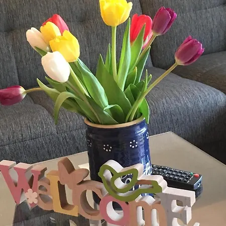 Hansa Residenz Ii Hansa-residenz Ii 8 公寓